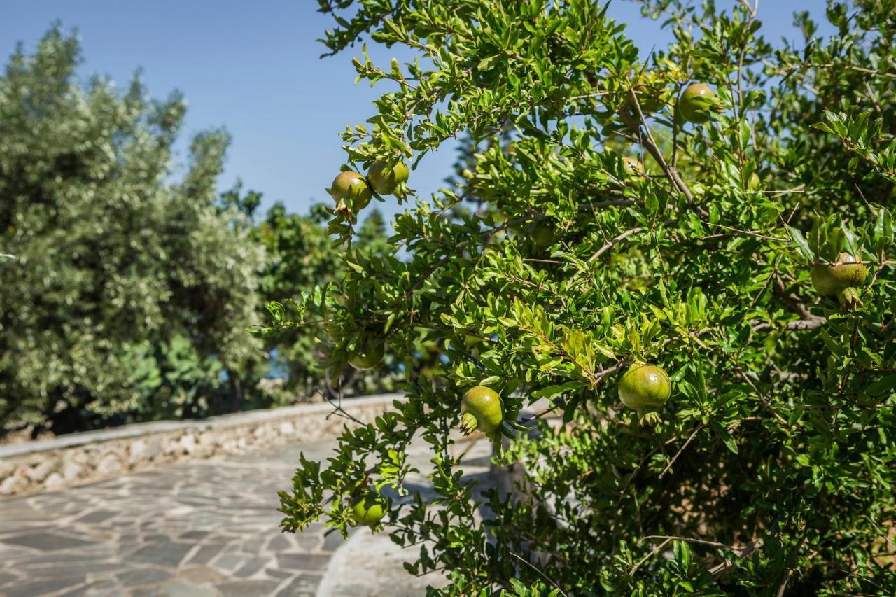 Ploes Luxury Cottages 佩萨达 外观 照片