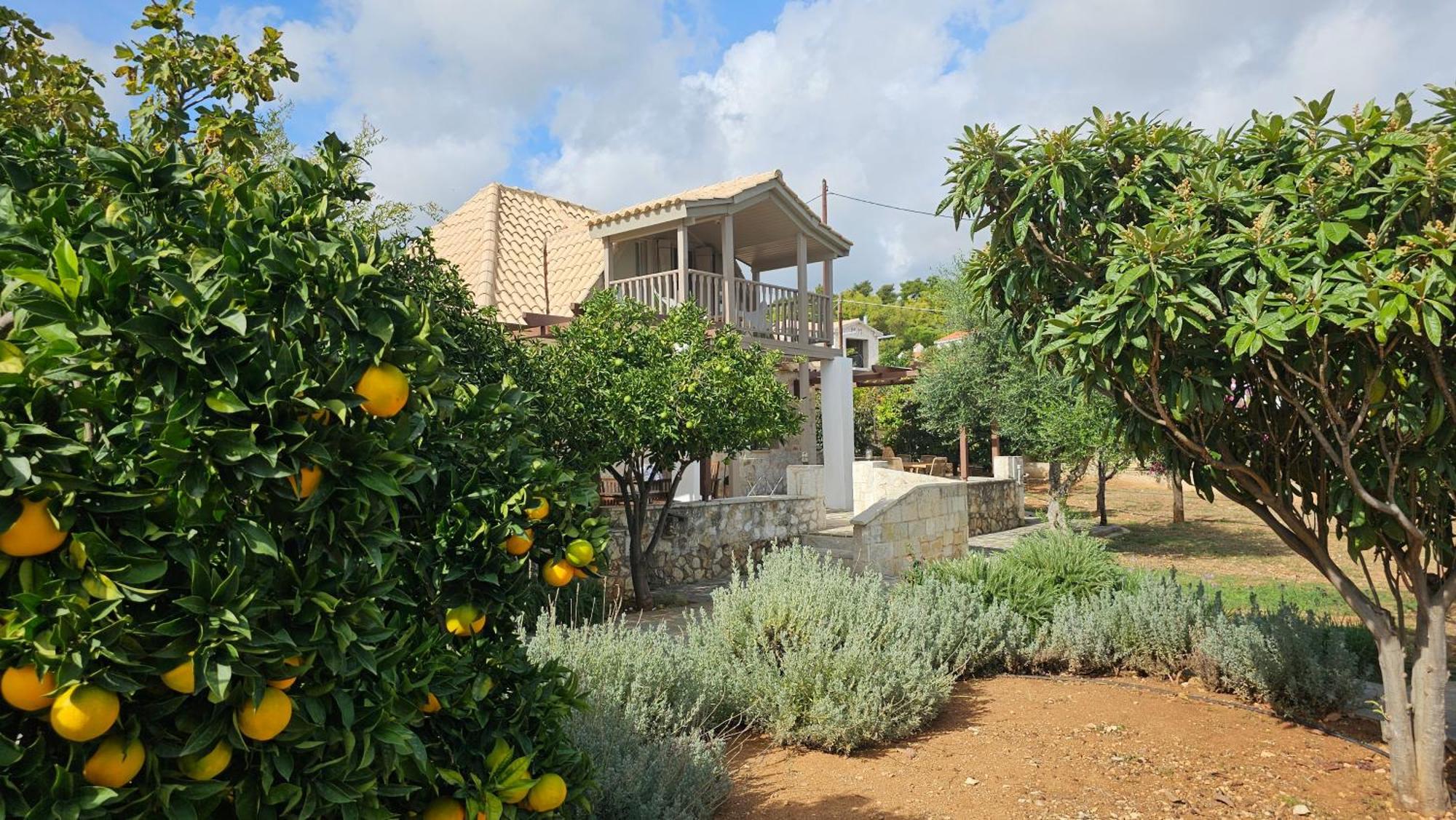 Ploes Luxury Cottages 佩萨达 外观 照片